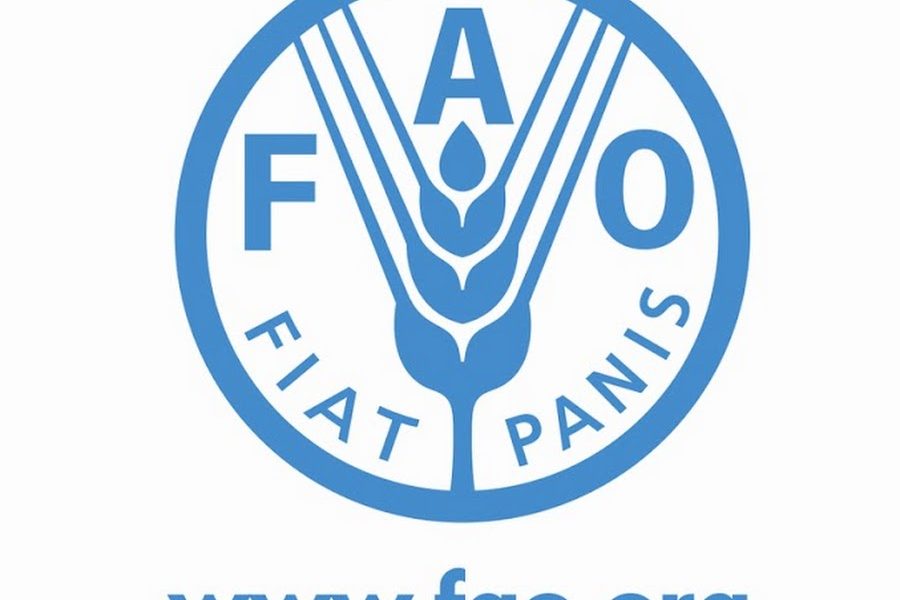 Süt Sektör Özeti ve Temel Bilgiler – FAO Süt Sektör Özeti ve Temel Bilgiler – FAO